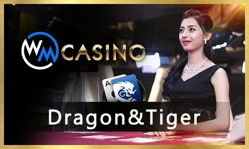 Interactive & Social Gaming
